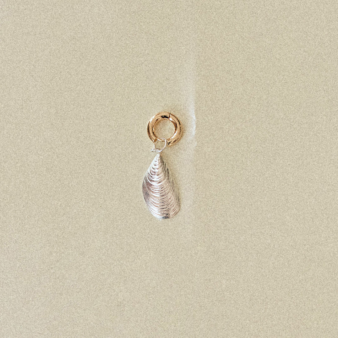 Lovers earring Mussel